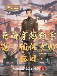 开局穿越杨宇霆，辅佐少帅抗日
