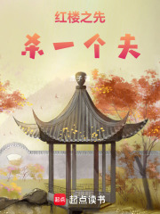 红楼之先杀一个夫