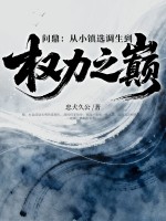 问鼎：从小镇选调生到权力之巅
