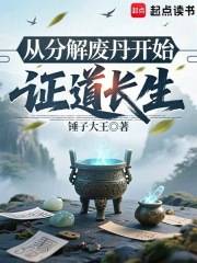 从分解废丹开始证道长生
